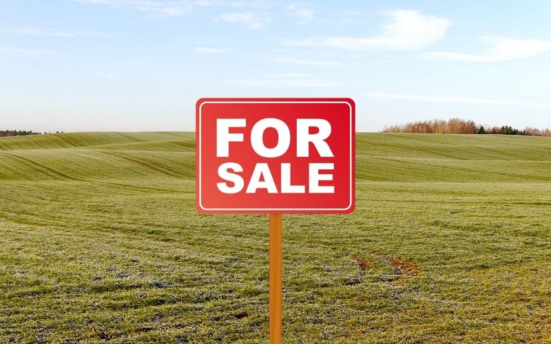 We Buy Land